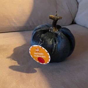 Blue velvet pumpkin with tags decoration